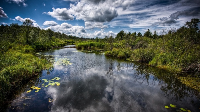 A calm river flows through a green forest under a cloudy sky.