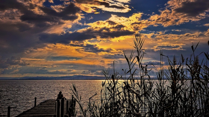 Person on a dock at sunset with reeds
