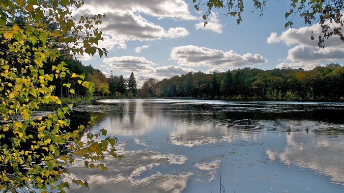 Lake surrounded by trees with autumn foliage