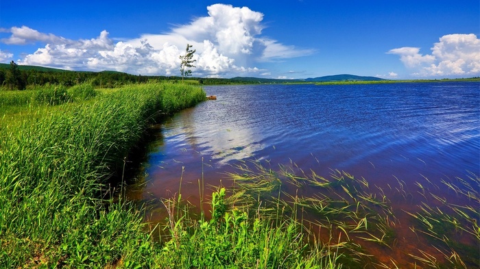 A wide shot of a lake with green grass and blue sky