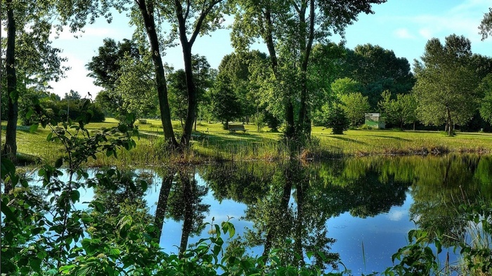 Park with pond and trees