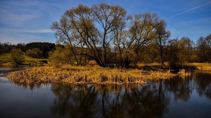 Island with trees and river reflection