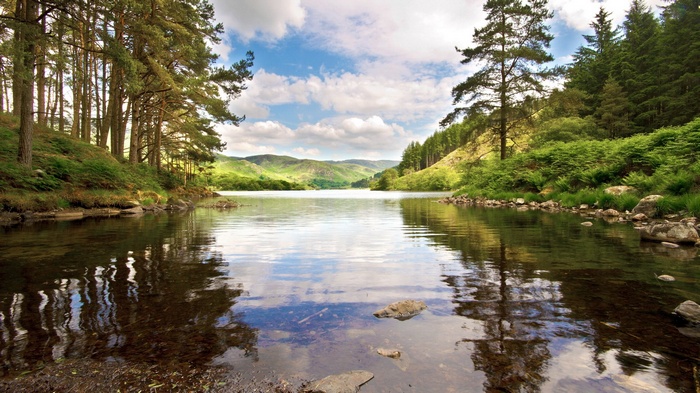 Lake surrounded by pine trees and rolling hills