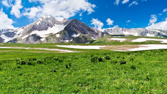 Green meadow with snow-capped mountains under a blue sky