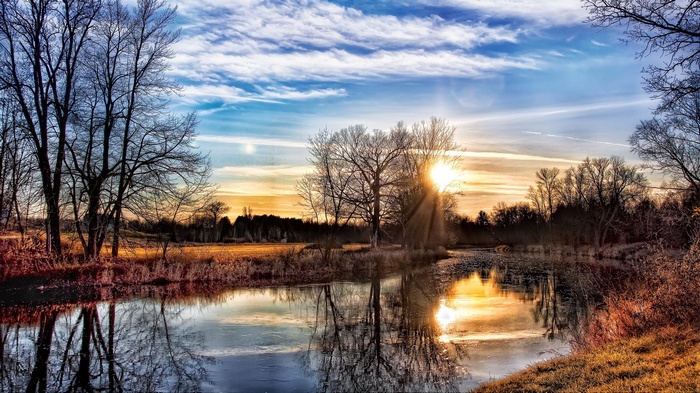 Sunset over a tranquil pond with bare trees
