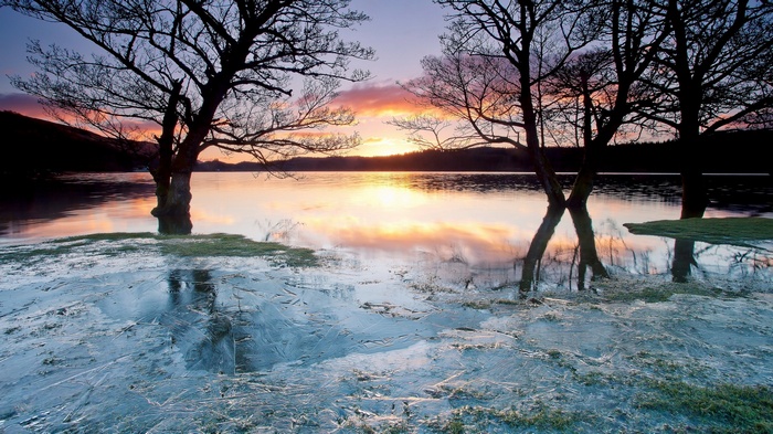 Frozen lake and trees at sunset