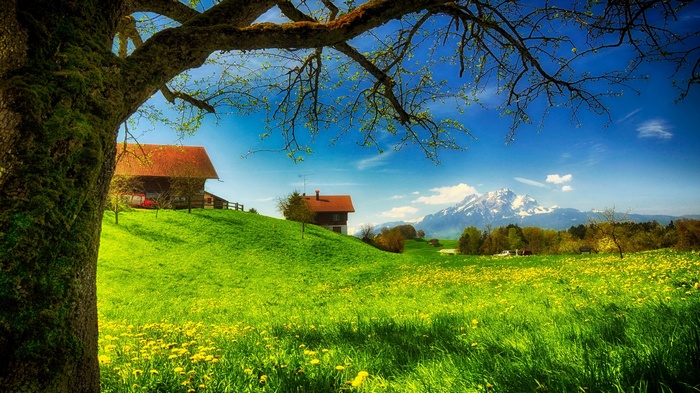 Green Meadow with Houses and Mountains