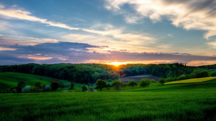 Sunset over rolling green hills and a forest
