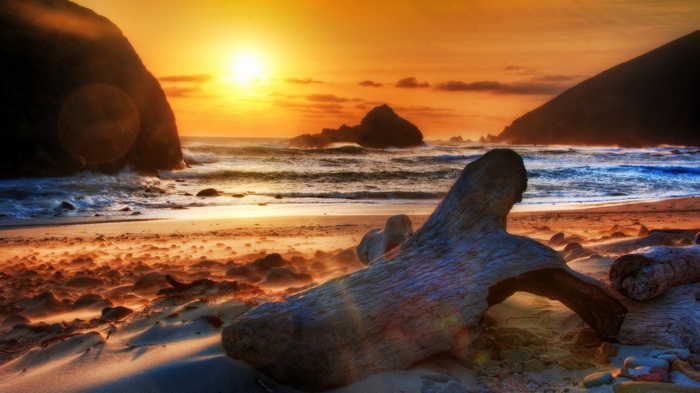 Driftwood on a beach at sunset