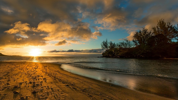 Sunset over a tropical beach with palm trees
