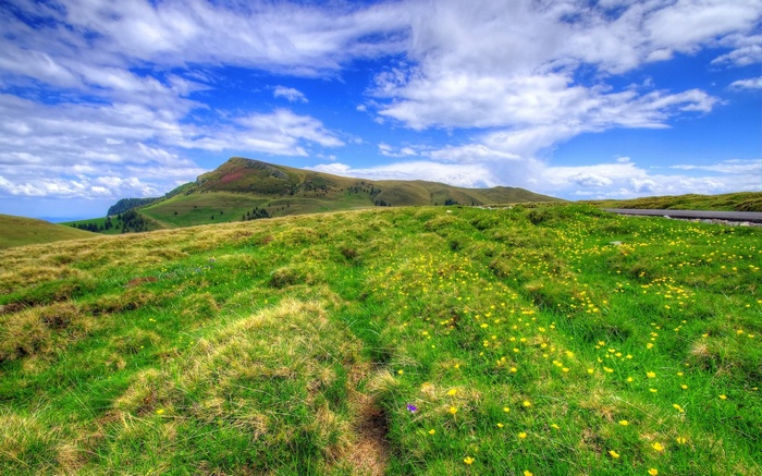 Grassy mountain landscape with yellow flowers and blue sky