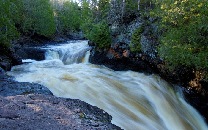 River flowing through a rocky forest