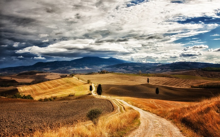 Tuscan Landscape with Winding Road and Cypress Trees
