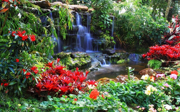 A lush garden with a waterfall and vibrant flowers