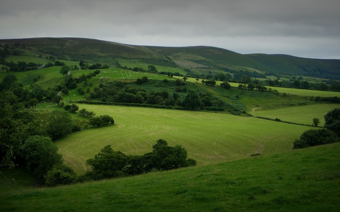 Rolling green hills and pastures under a cloudy sky