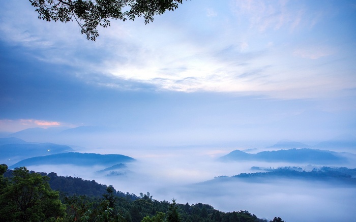 Misty mountains at sunrise with tree branches