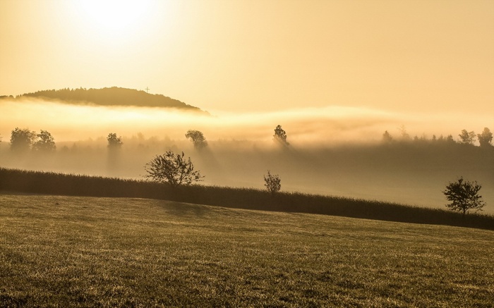 Misty sunrise over a rolling landscape with a cross on a hill