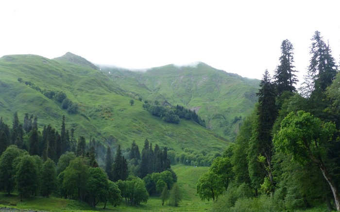 Green mountains with trees and clouds