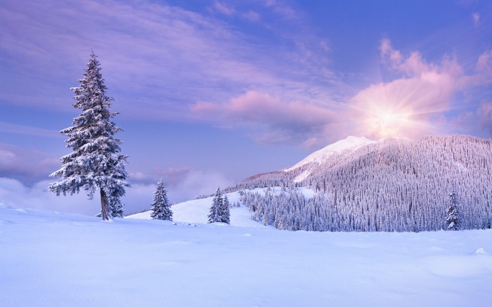 Snowy mountain landscape with sun and trees