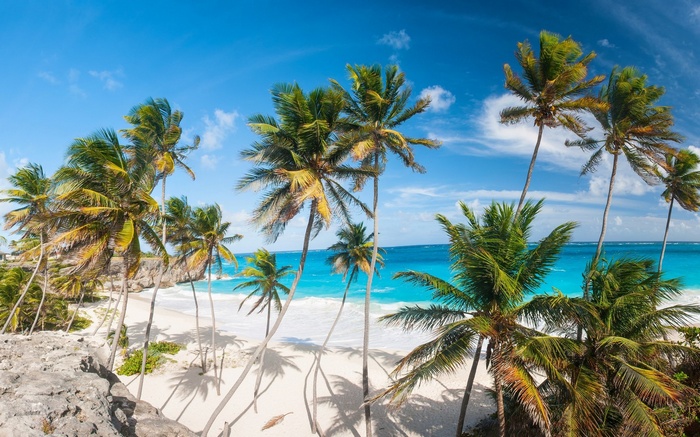 Tropical beach with palm trees and turquoise water