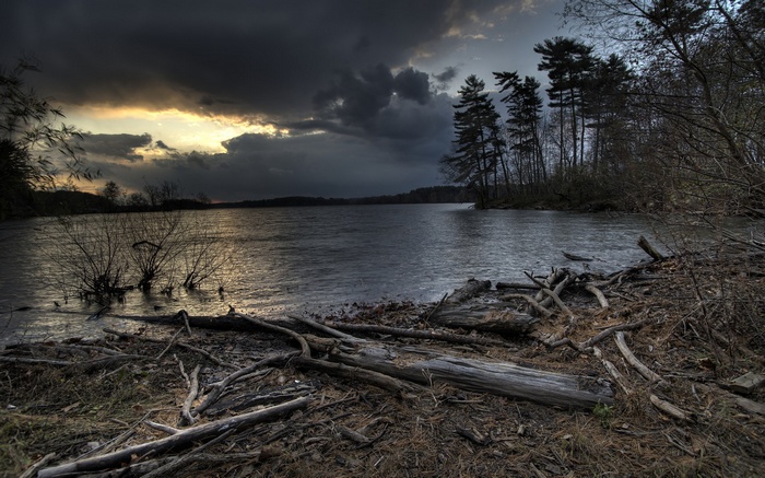 Stormy sky over a lake with fallen logs on shore