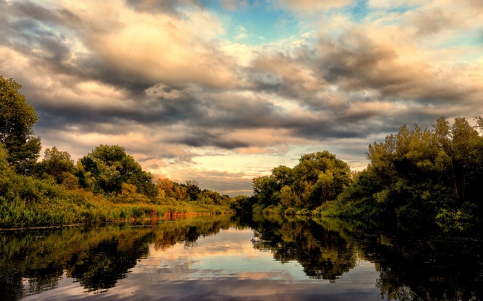 River with trees and dramatic clouds
