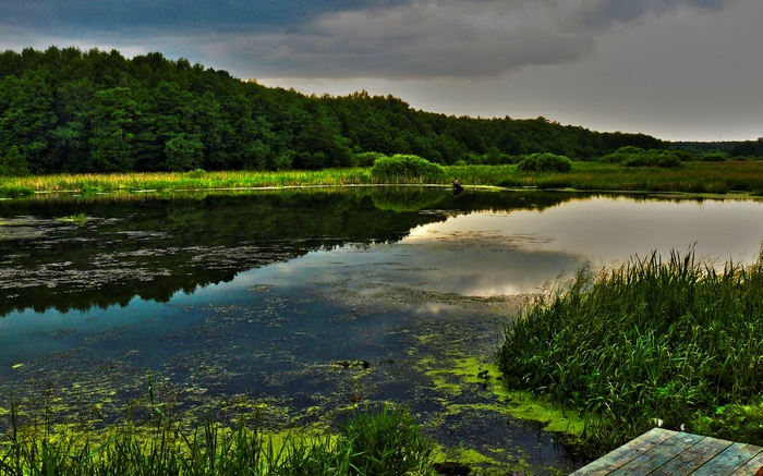 Person fishing in a calm lake with forest reflection
