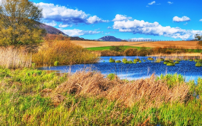 A tranquil lake surrounded by reeds and rolling hills under a blue sky.
