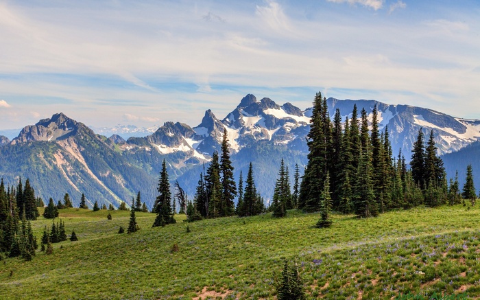 Mountain range with snow-capped peaks and evergreen trees