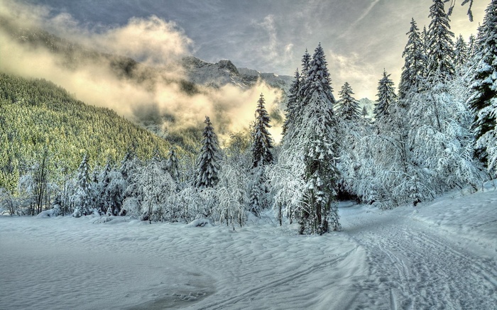 Snowy forest path with mountains and clouds