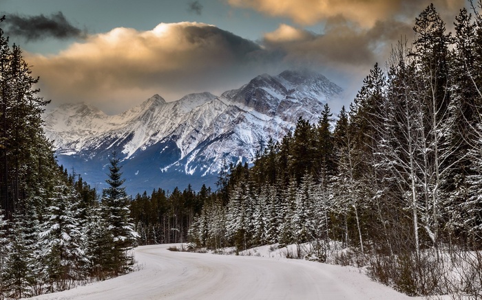 Snowy mountain road through a pine forest