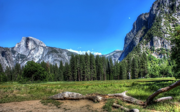 Half Dome and granite cliffs in Yosemite Valley