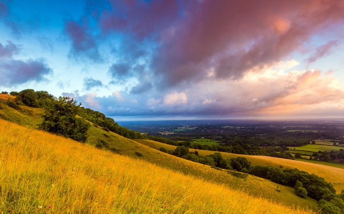 Golden grassy hill overlooking a valley at sunset