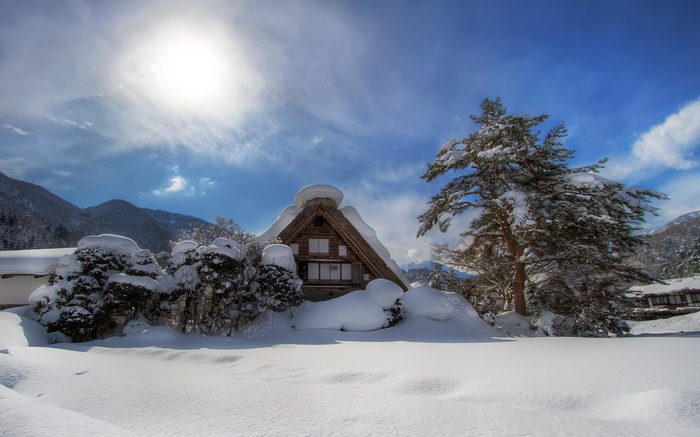 Snowy traditional Japanese house with pine tree
