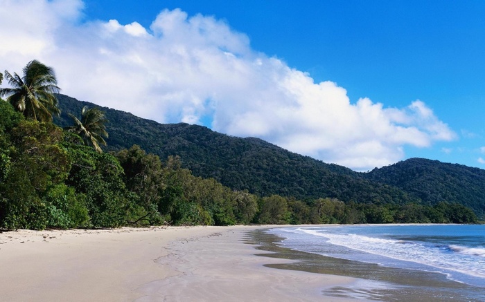 Tropical beach with palm trees and mountains