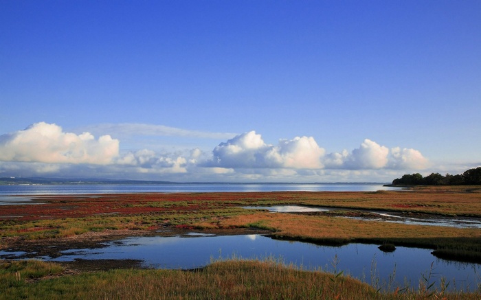 Marshland with calm water under a blue sky with clouds