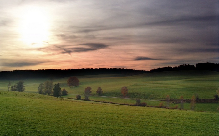 Rolling green hills at sunset with scattered trees