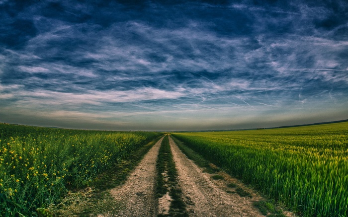Dirt road through green fields under a cloudy sky