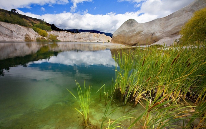 Lake with white cliffs and reeds