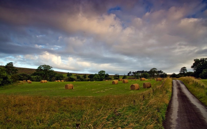Hay bales in a field with a dirt road