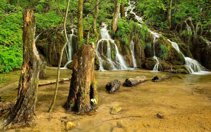 Waterfalls cascading through a lush green forest with fallen logs