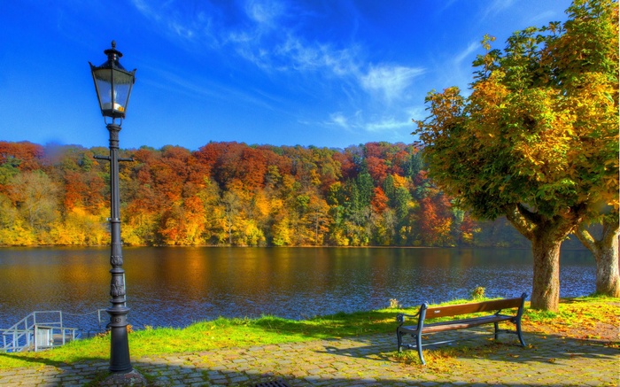 Autumn lake with trees and a park bench