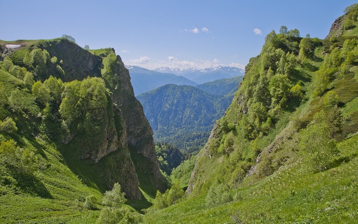 Green mountain valley with distant snow-capped peaks