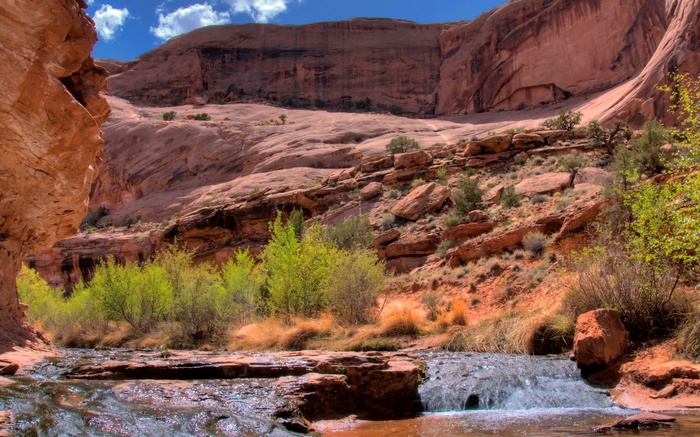 Canyon stream with red rock cliffs and green trees