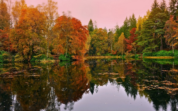 Autumn trees reflected in a lake