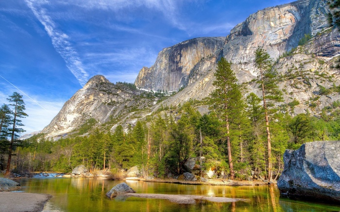 Mountain landscape with river and pine trees