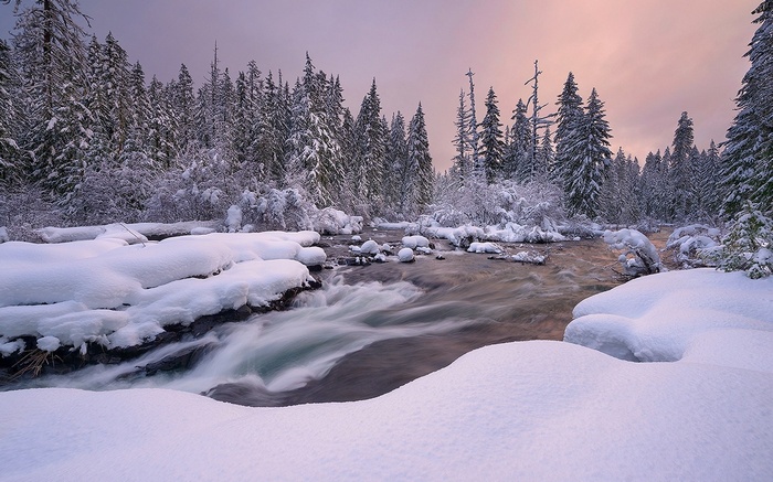 Snowy forest with a river in winter