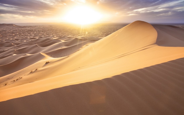 Desert sand dunes at sunset