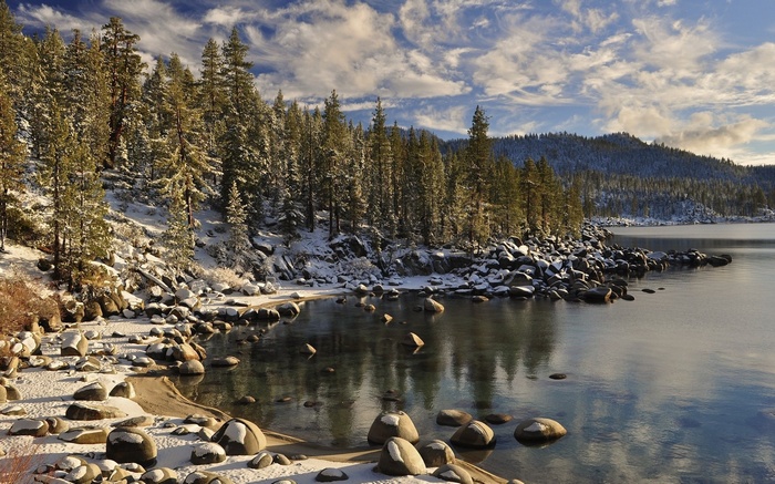 Snowy Lake Shore with Pine Trees and Mountains