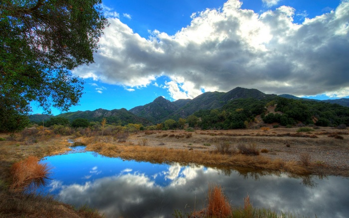 Mountain landscape with a reflective stream and trees